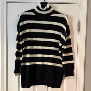 Express Monochrome Striped Turtleneck Sweater